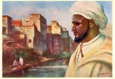 Carte maroc chef d'occasion  Genillé