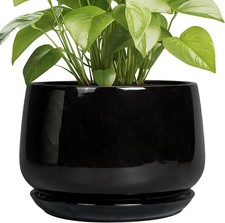 Epgardening ceramic plant for sale  Gulf Shores