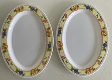 Melamine floral fruits for sale  TROWBRIDGE