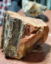 Vintage large petrified for sale  Soda Springs