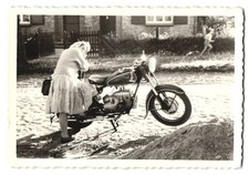 Fotografie motorrad ifa gebraucht kaufen  Berlin