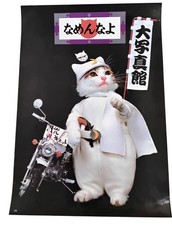 Namennayo japanese cat for sale  UK