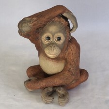 orangutan monkey for sale orangutan monkey for sale Sanford