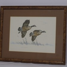 Vintage watercolor art for sale  Cherryville