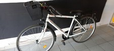 Bicicletta donna bici usato  Chivasso