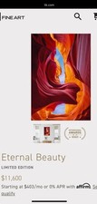 Peter lik eternal for sale  Oak Park