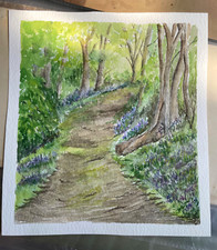 Path bluebell woods for sale  DAWLISH