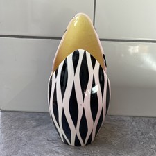 zebrette for sale  ALNWICK