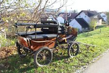 Kutsche wagonette max gebraucht kaufen  Lauben