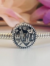 Charm harry potter usato  Cantu