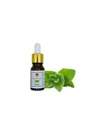 100% Greco Puro Olio di Origano Grado Terapeutico | 10ml Carvacrolo Alto comprar usado  Enviando para Brazil