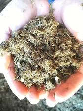 Pferdedung dünger direkt gebraucht kaufen  Stinstedt
