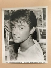 Fugitive david janssen for sale  Encino
