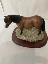 Shetland pony 1996 for sale  SCARBOROUGH