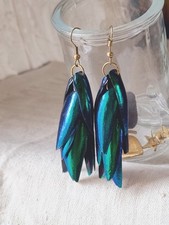 Boucles oreilles elytres d'occasion  Cysoing
