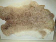 Stück kaninchenfelle gelbsilb gebraucht kaufen  Allensbach