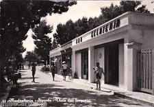 Manfredonia siponto viale usato  Roma