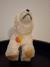 Steiff eisbär cosy gebraucht kaufen  Bensheim