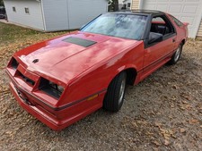 1986 dodge daytona for sale  USA