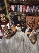 Cat kittens weighted for sale  Horseshoe Bend