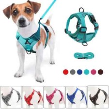 Hundegeschirr leine verstellba gebraucht kaufen  Gütersloh