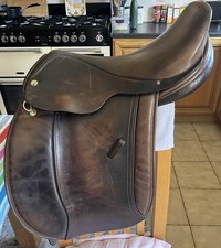 Beautiful native pony for sale  BANGOR