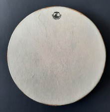 Remo ceandrum standard gebraucht kaufen  Borken