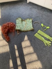 princess fiona costume for sale princess fiona costume for sale BRADFORD