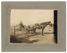 1920s rfd horse for sale  Irwin