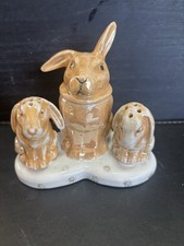 Rear item rabbits for sale  FOLKESTONE