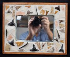 Shark tooth picture for sale  Richmond