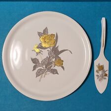 Originale vassoio tortiera usato  Pieve Fosciana