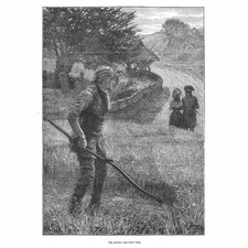 Victorian agricultural worker for sale  GLASGOW