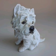 Westie west highland for sale  DUDLEY