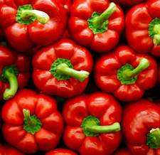 Big red bell for sale  Berwyn
