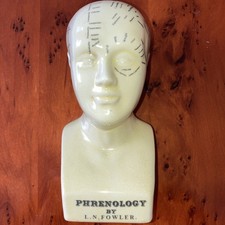 Phrenology bust head for sale  LUTON