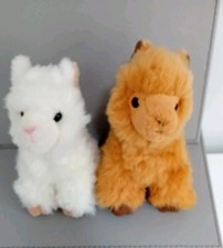 Wilberry mini alpaca for sale  WITHAM
