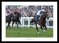 Frankel 2011 queen for sale  FARNHAM