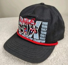 Vintage dale earnhardt for sale  New Britain