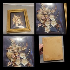 Framed seashell picture for sale  Parkston