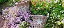 Corbeilles panier osier d'occasion  Taissy