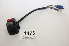 1473 pegasus sky gebraucht kaufen  Waging a.See