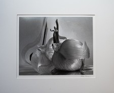 Original signed photograph for sale  Tobaccoville