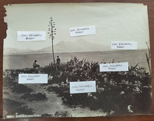 1880 fotografia all usato  Roma