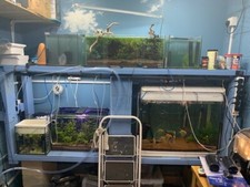 Used aquarium equipment for sale  HEMEL HEMPSTEAD