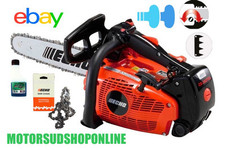 Motosega potatura echo usato  Siderno