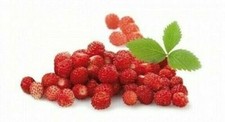 200 graines fraise d'occasion  Clermont-Ferrand-