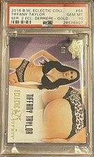 2016 benchwarmer tiffany for sale  Belleville