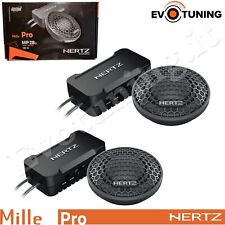 Hertz 28.3 coppia usato  Pavia