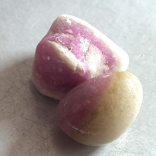 Pink white sea for sale  PETERLEE